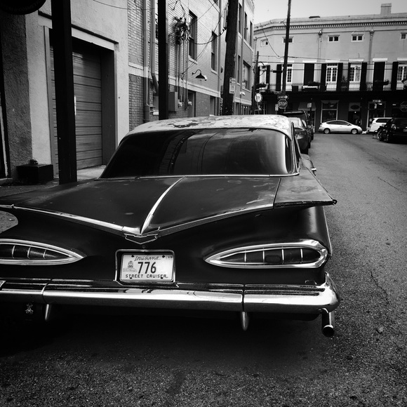 Meet your Posher, Fred - Picture 1 of 2